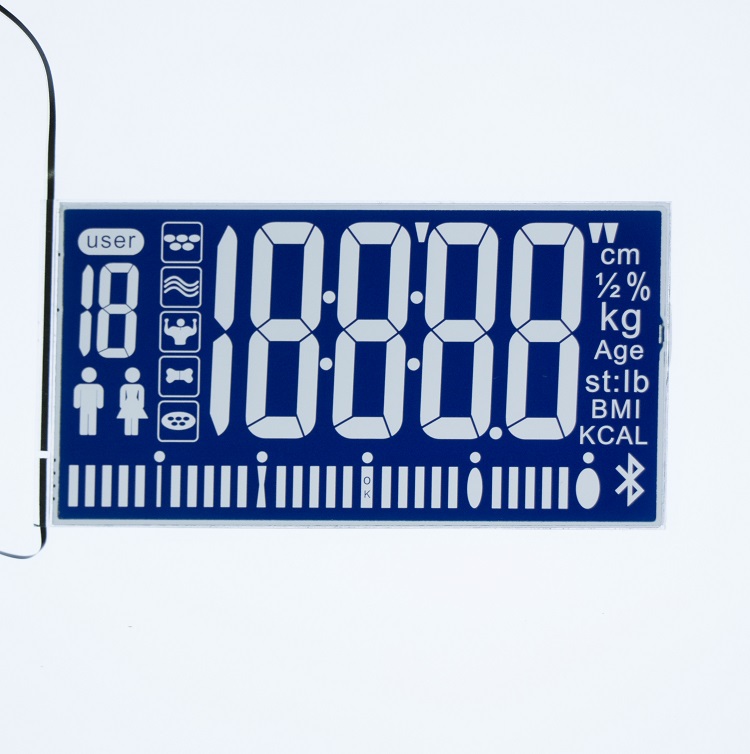 蓝膜电子称LCD段码屏TC－H60913